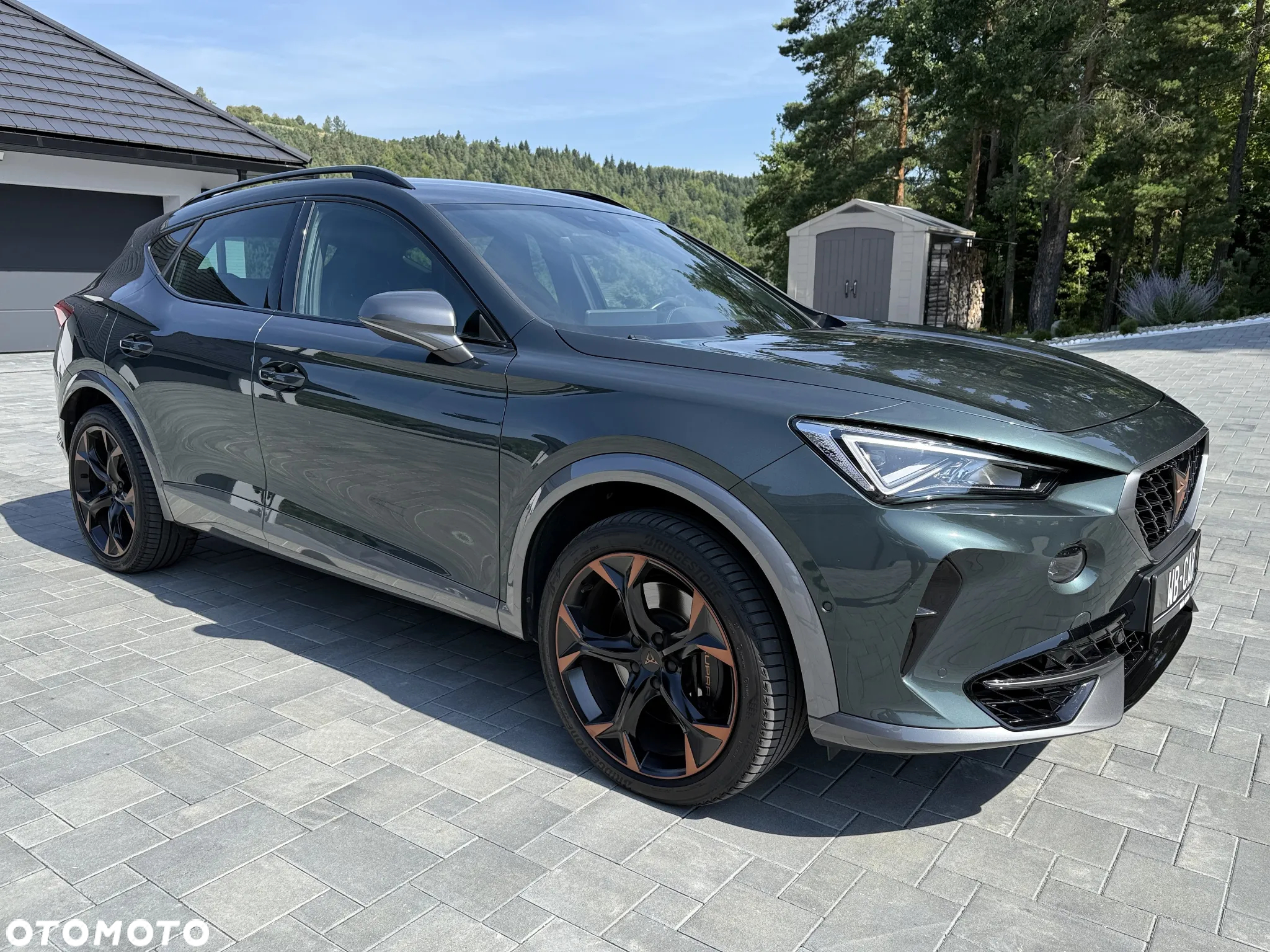 Cupra Formentor VZ 2.0 TSI 4Drive DSG - 12