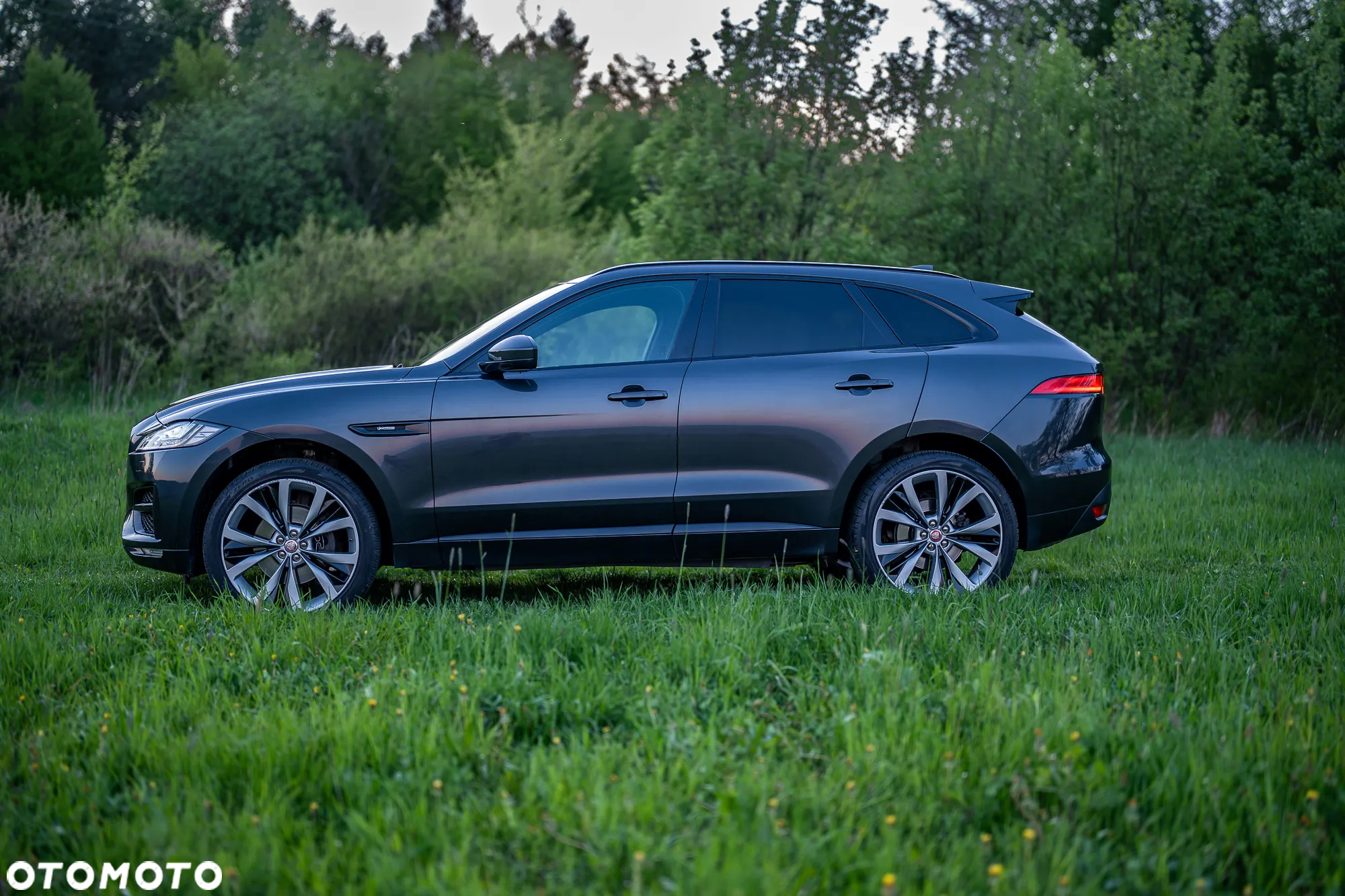 Jaguar F-Pace 3.0 TDV6 AWD R-Sport - 10