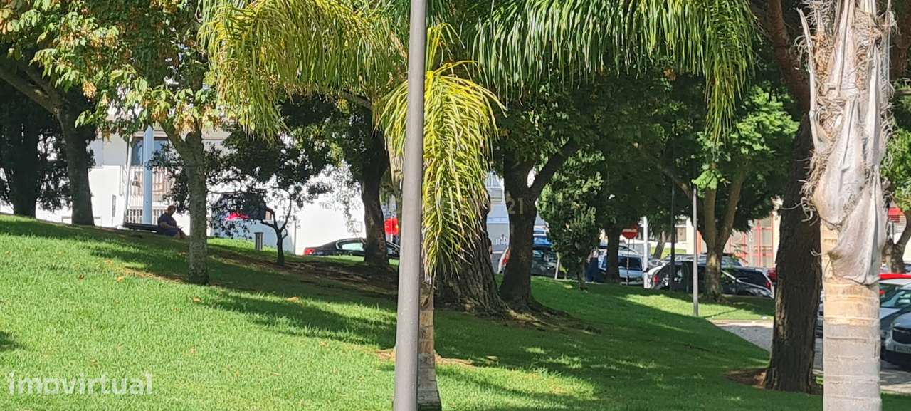 Pretende viver em Oeiras? Num apartamento T2  arrendado? - Grande imagem: 5/54