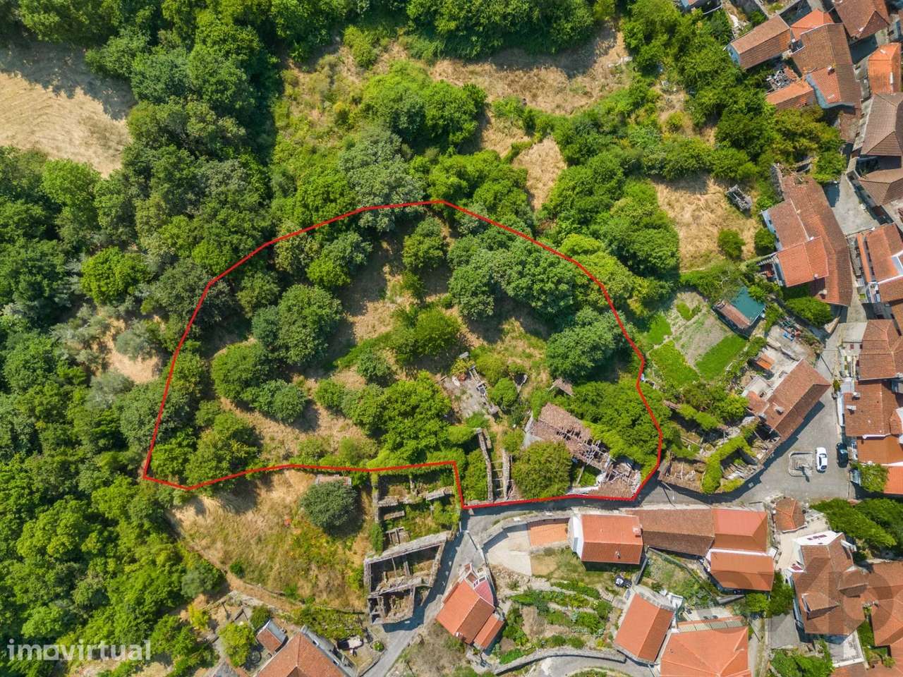 Quinta com Casa em Pedra para Restauro Século XIX - Grande imagem: 2/36