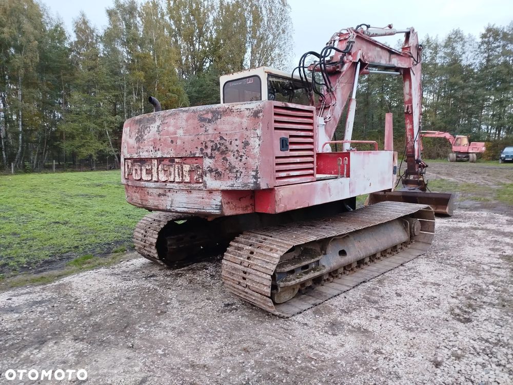 Case 61 błotniak - 7