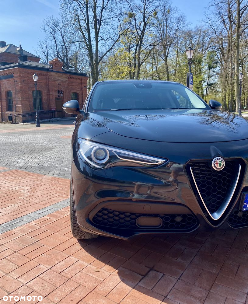 Alfa Romeo Stelvio 2.0 Turbo Q4 - 6