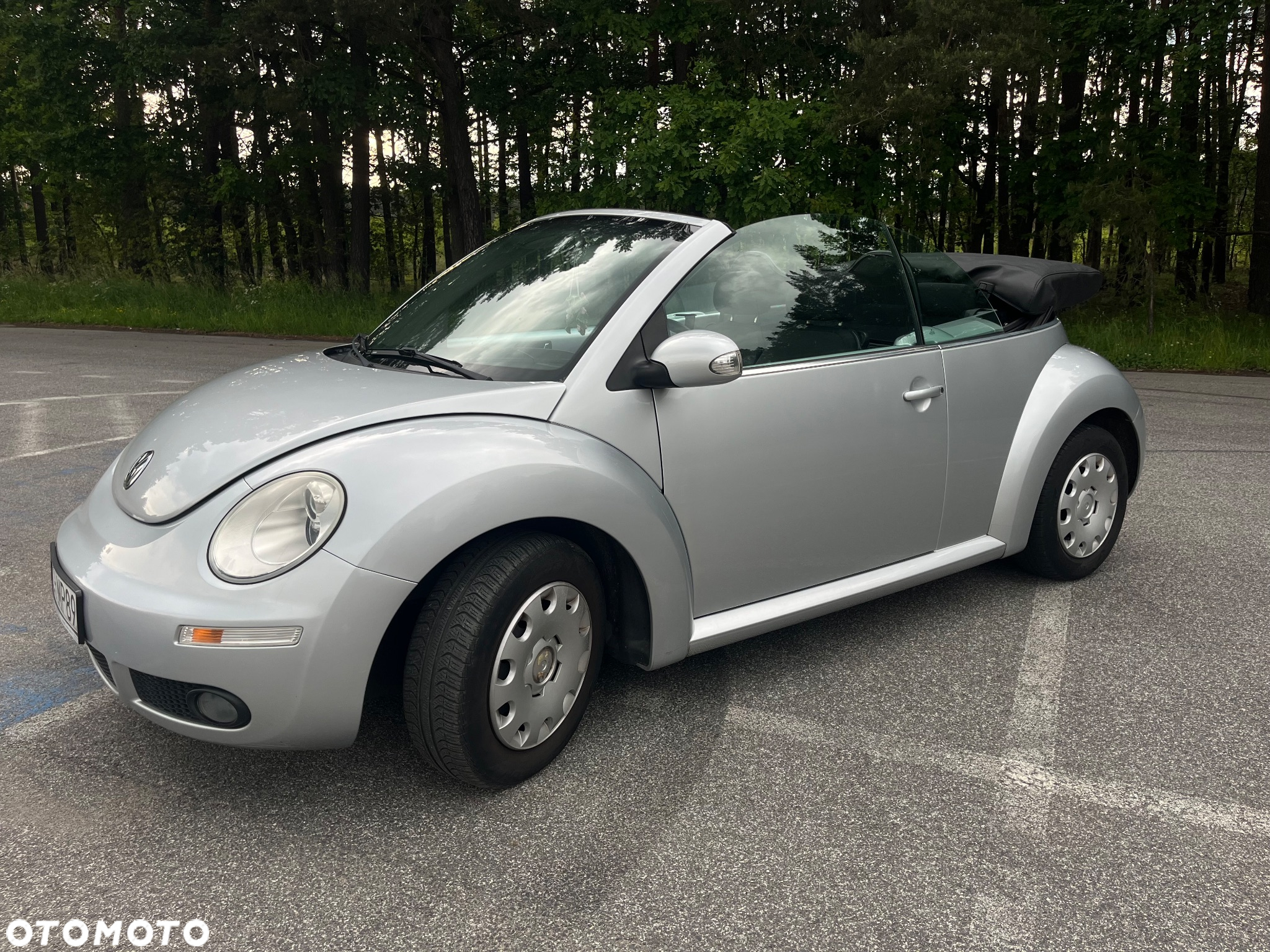 Volkswagen Beetle - 9