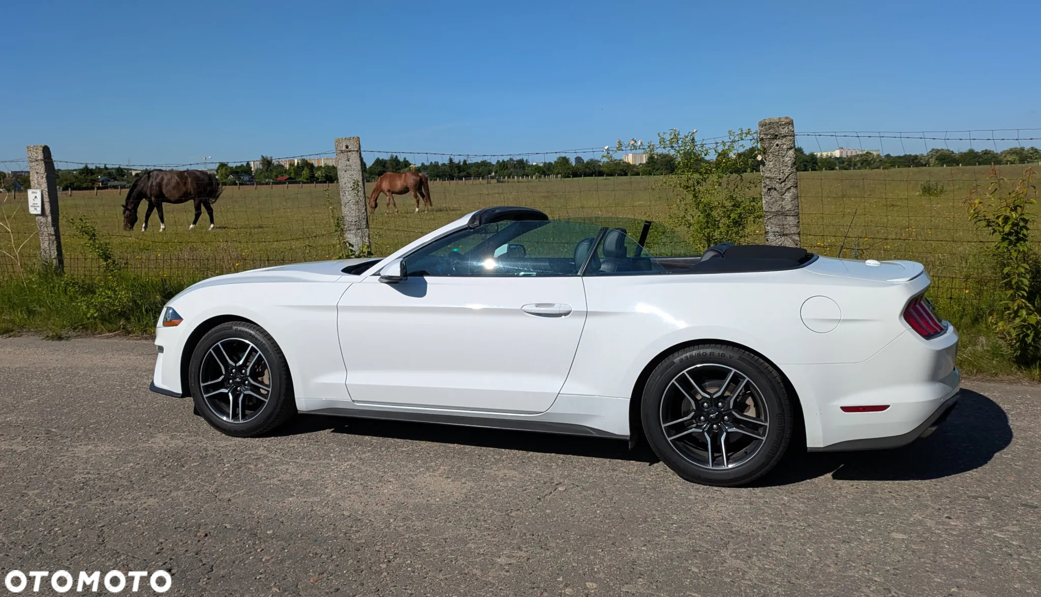 Ford Mustang 2.3 EcoBoost - 3