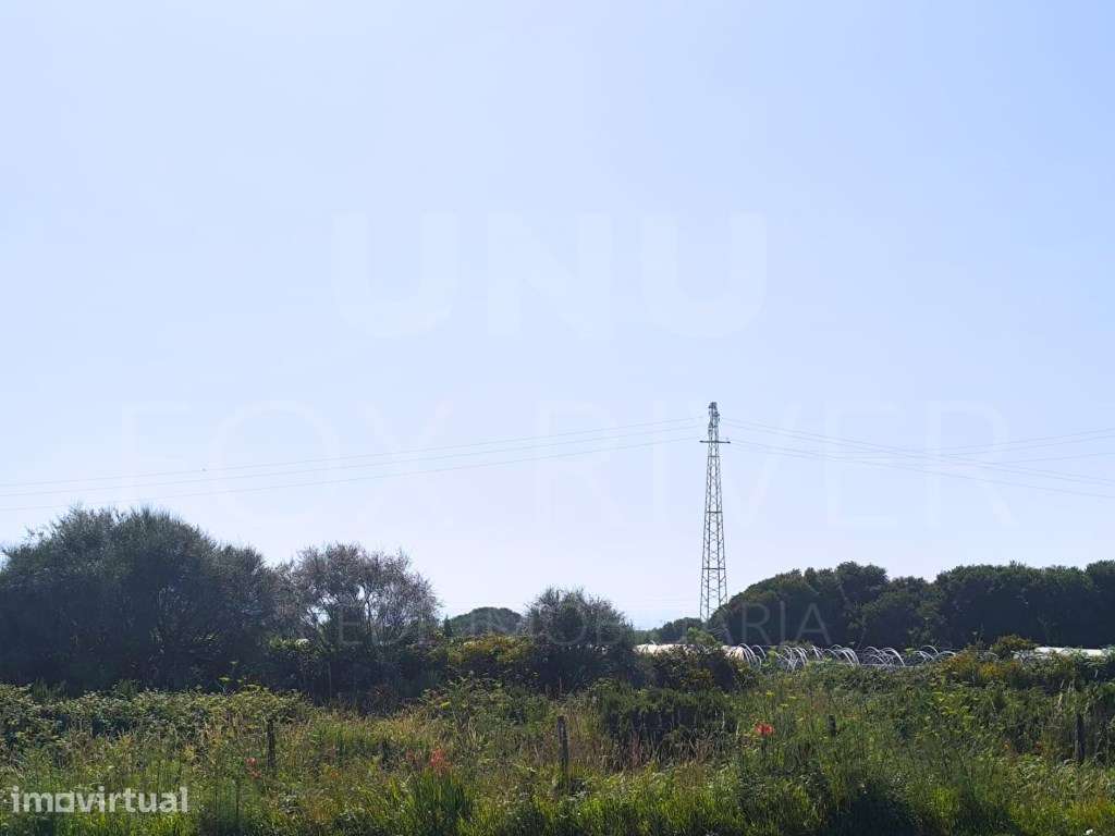 Terreno em Carreço com Vistas Mar - Grande imagem: 4/6