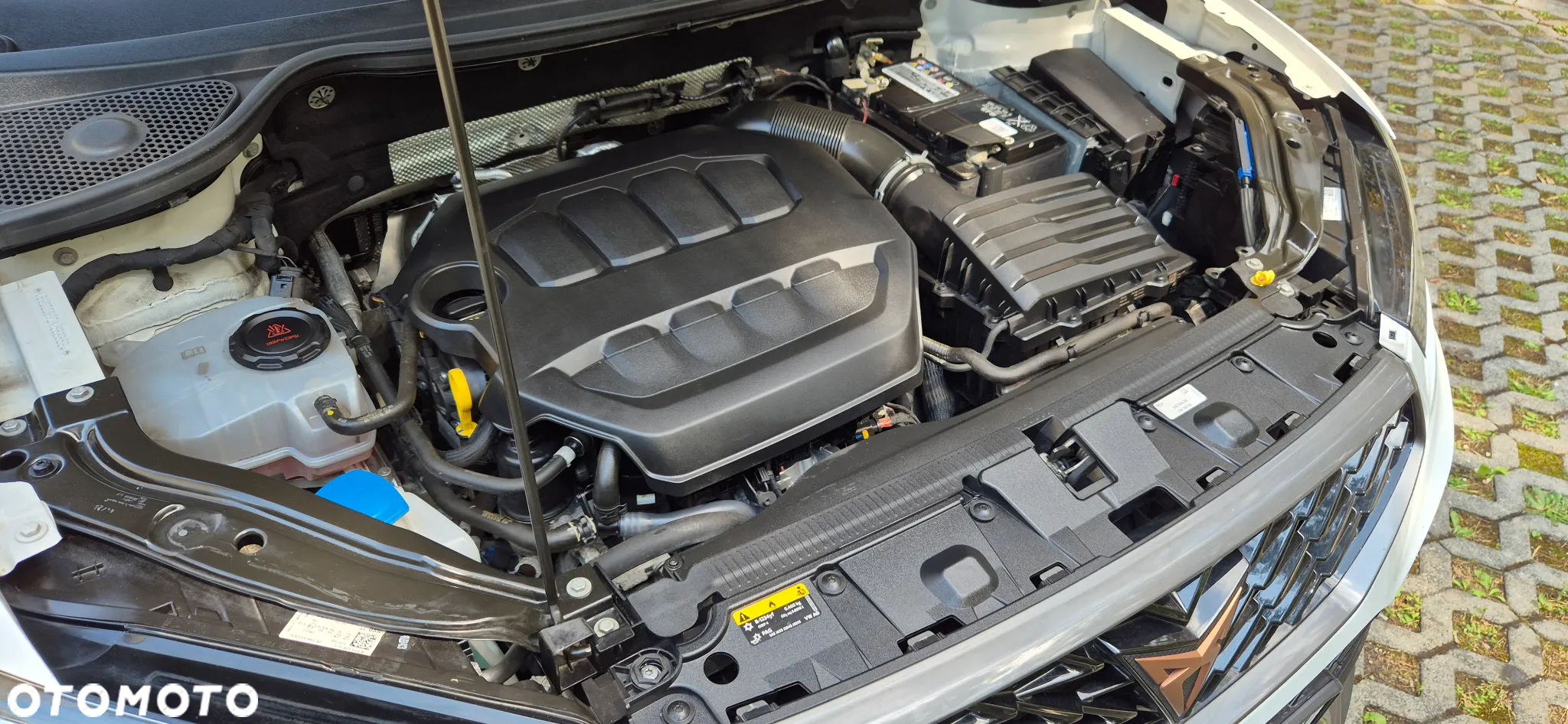 Cupra Ateca 2.0 TSI 4Drive DSG - 29