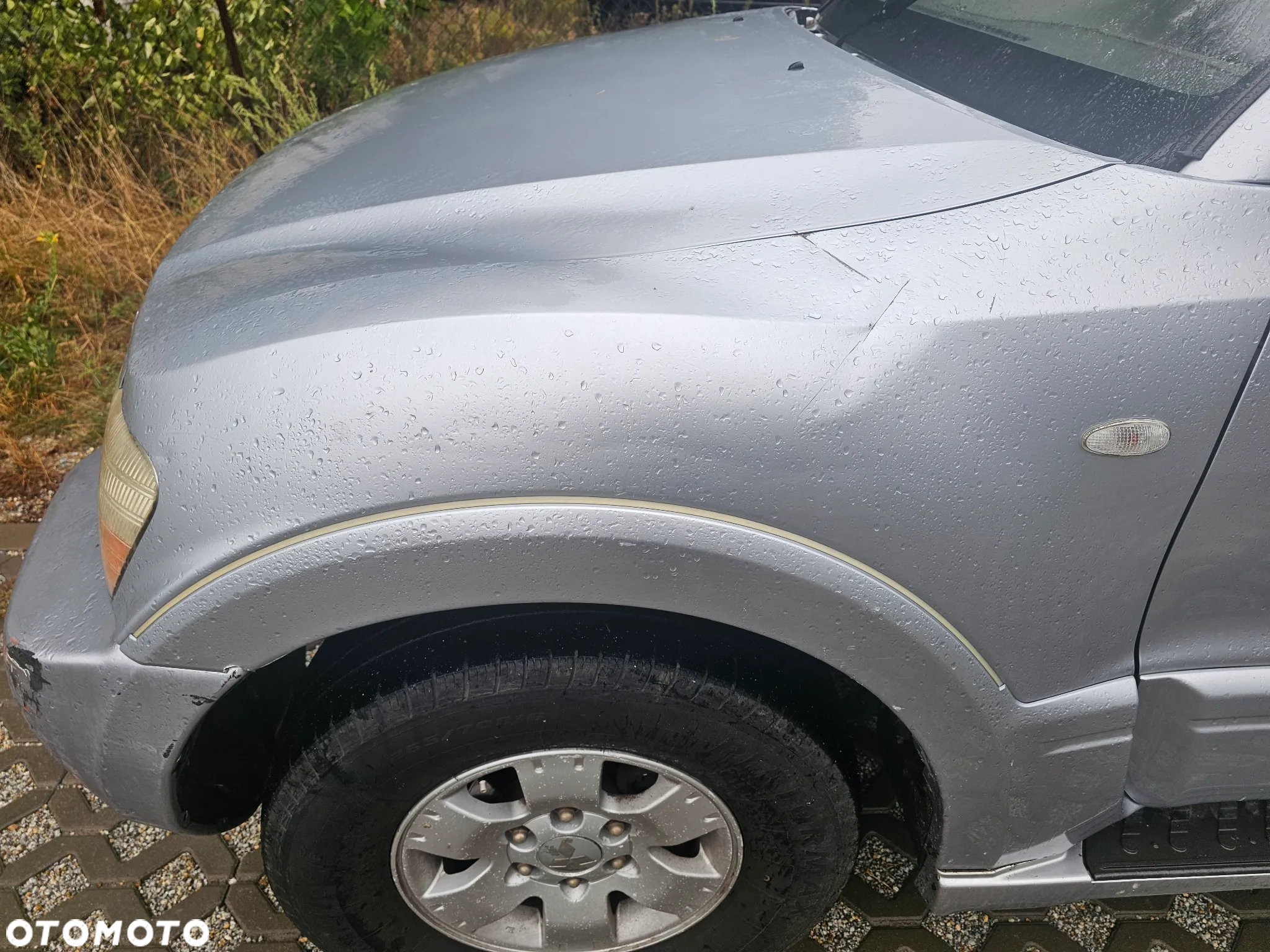 Mitsubishi Pajero - 22