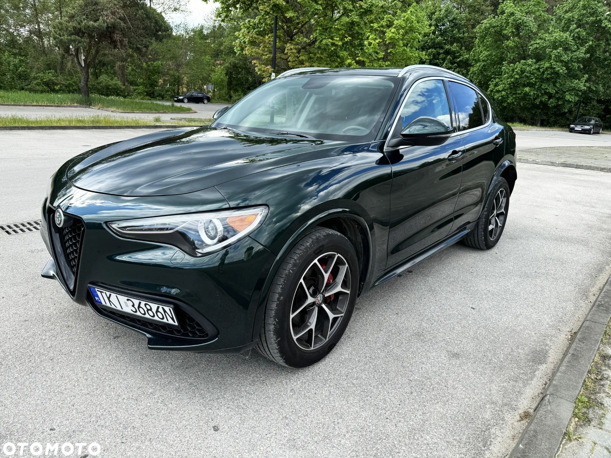 Alfa Romeo Stelvio 2.0 Turbo TI Q4 - 1