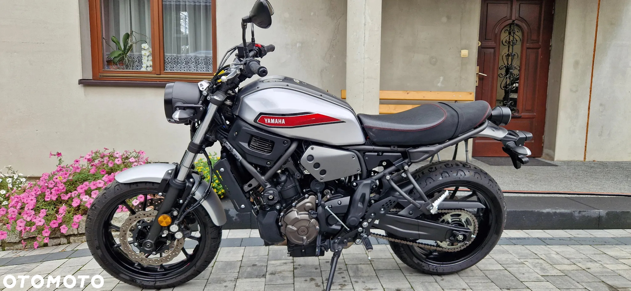 Yamaha XSR - 19