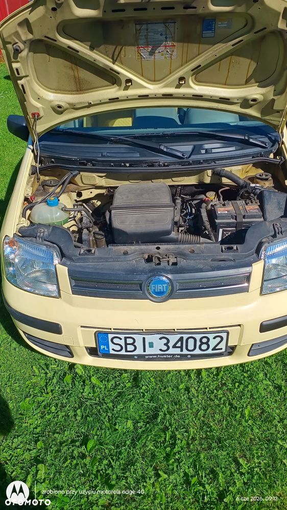 Fiat Panda 1.2 Dynamic - 5