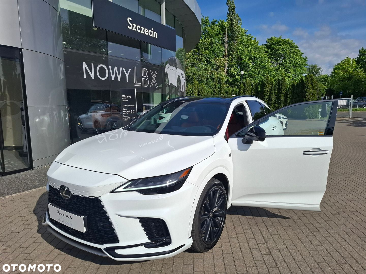 Lexus RX - 9