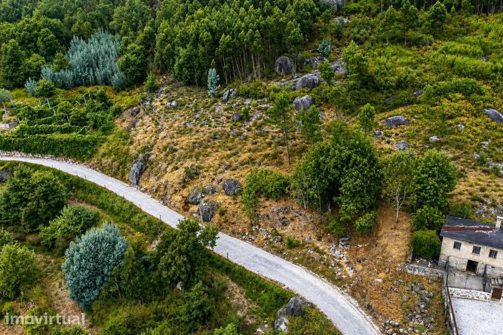 Terreno com viabilidade construtiva - Bouro Santa Maria - Grande imagem: 5/10
