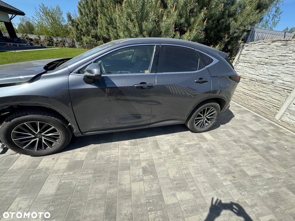 Lexus NX 350h Business 2WD - 3