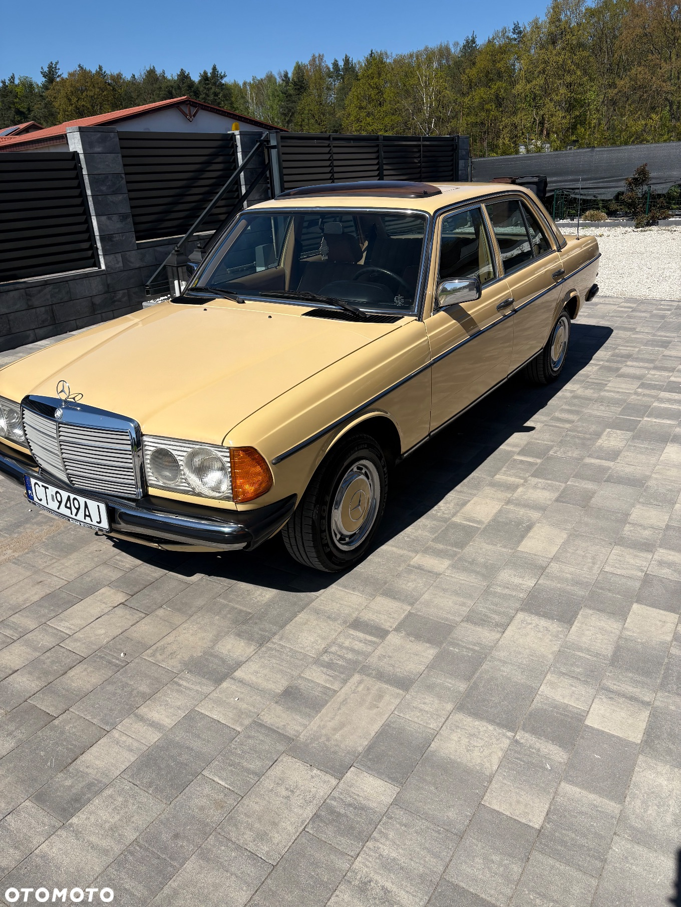 Mercedes-Benz W123 - 5