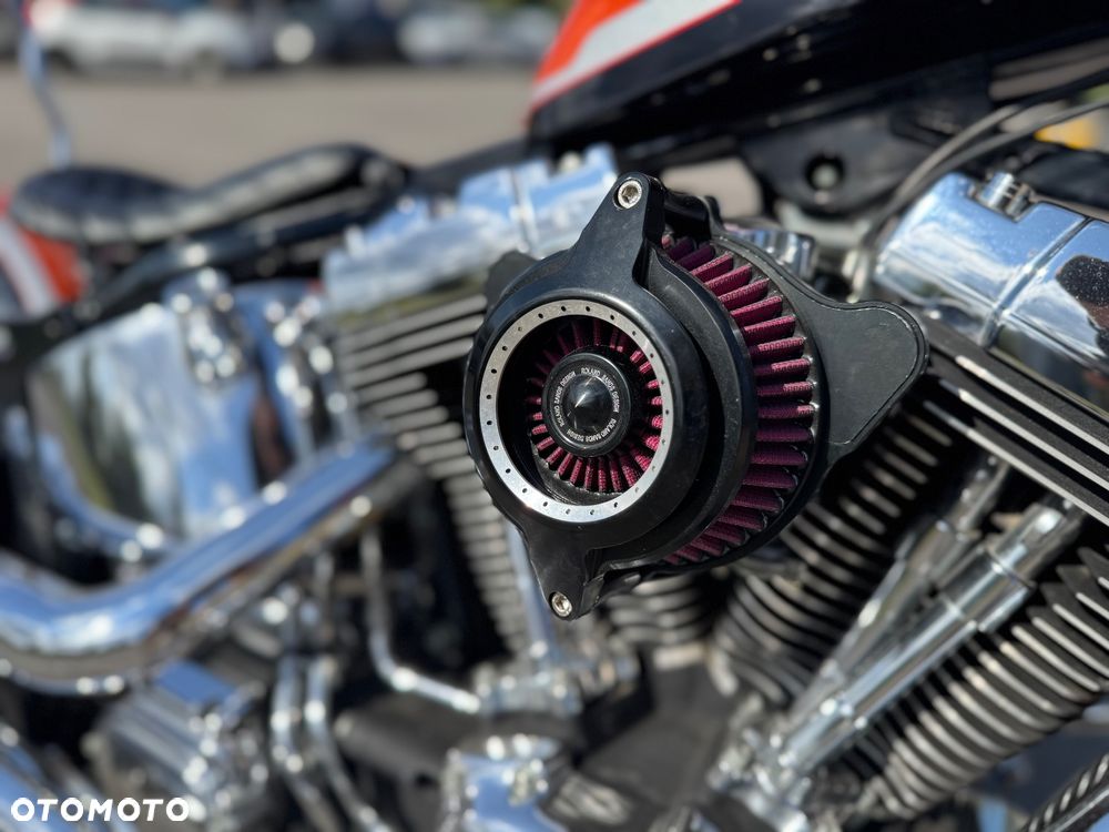 Harley-Davidson Softail - 17