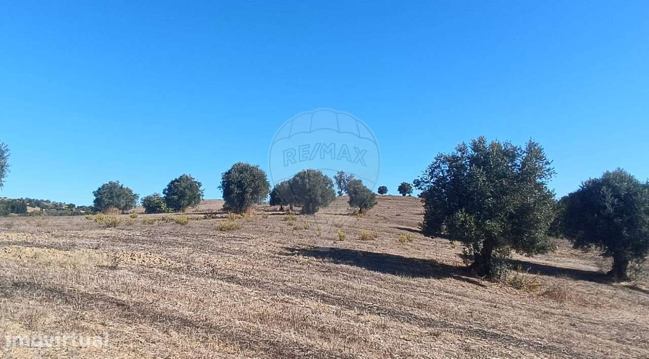 Terreno  para venda - Grande imagem: 5/15