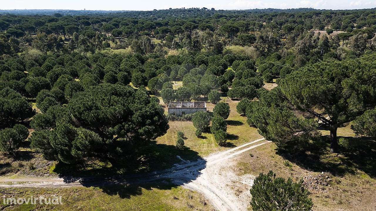 Quinta  para venda - Grande imagem: 5/30