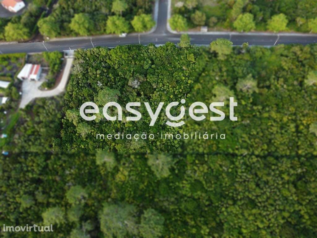 Terreno para construção em Santo António, São Roque do Pico - Grande imagem: 3/14