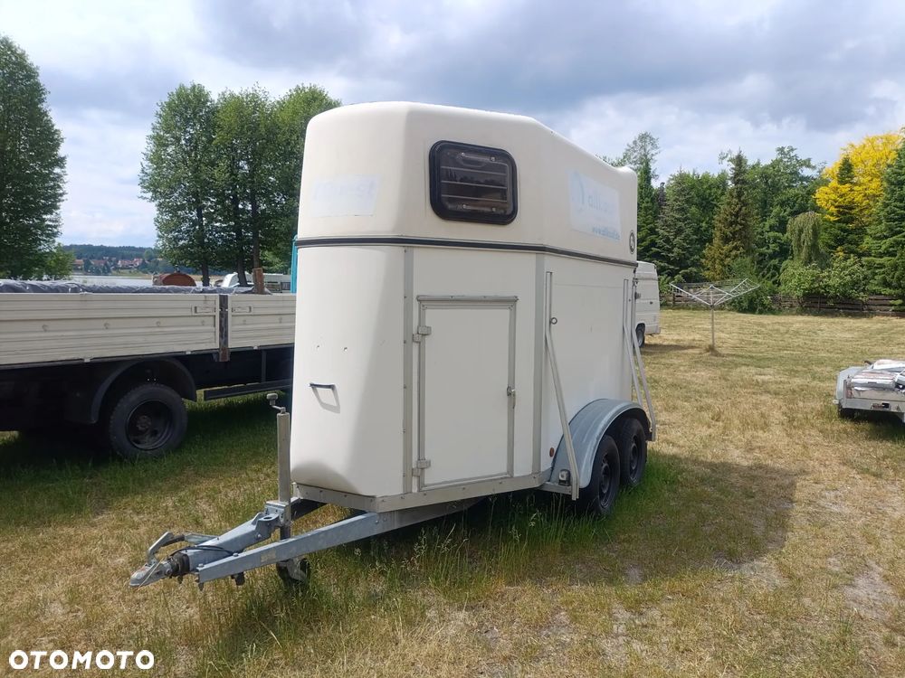 Blomert - 3