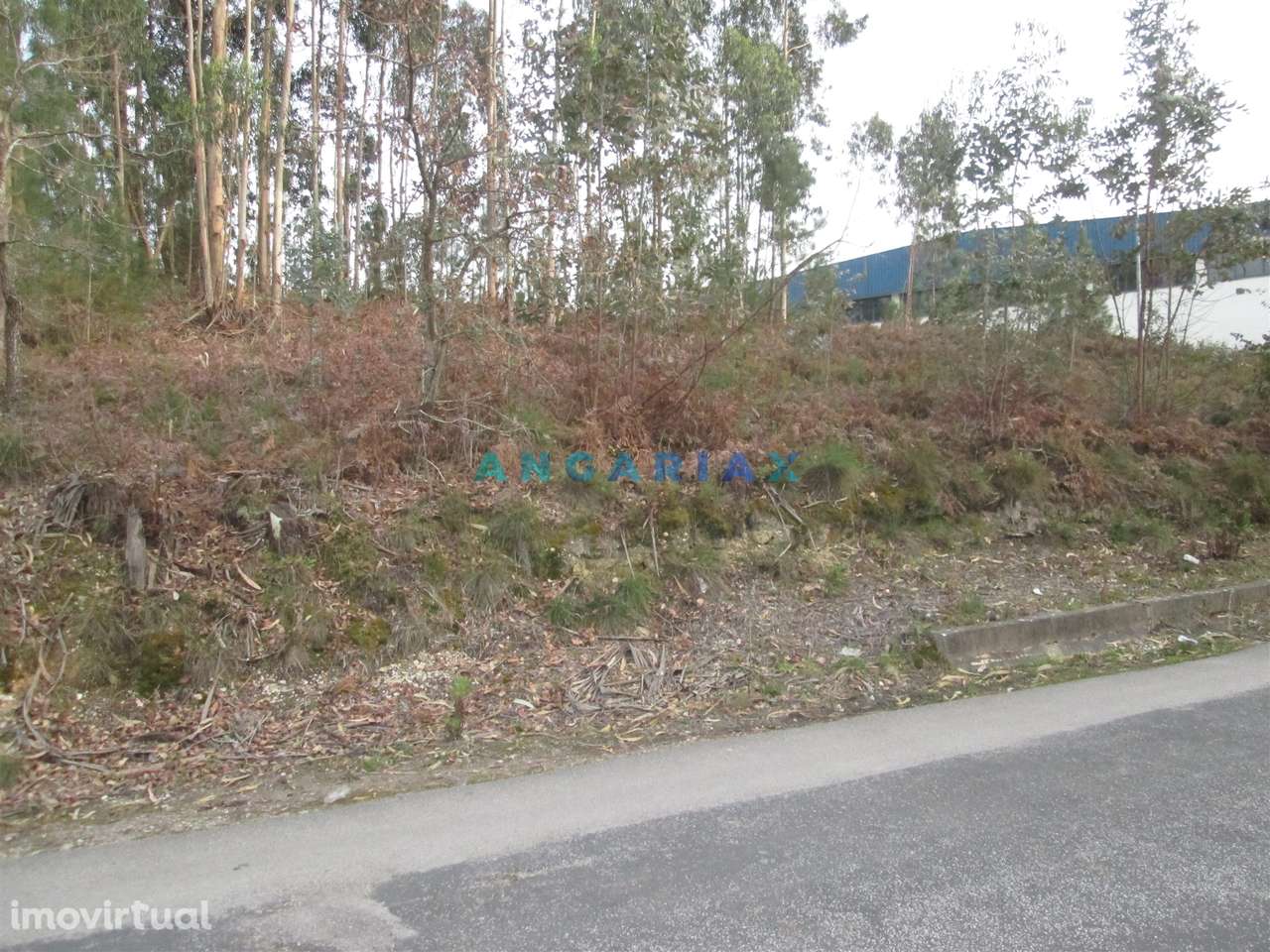 ANG933 - Terreno para Construção com 2664m2 para Venda em Colmeias, Le - Grande imagem: 5/9