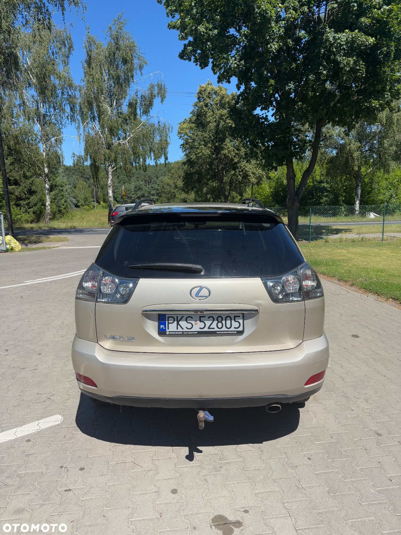 Lexus RX - 9