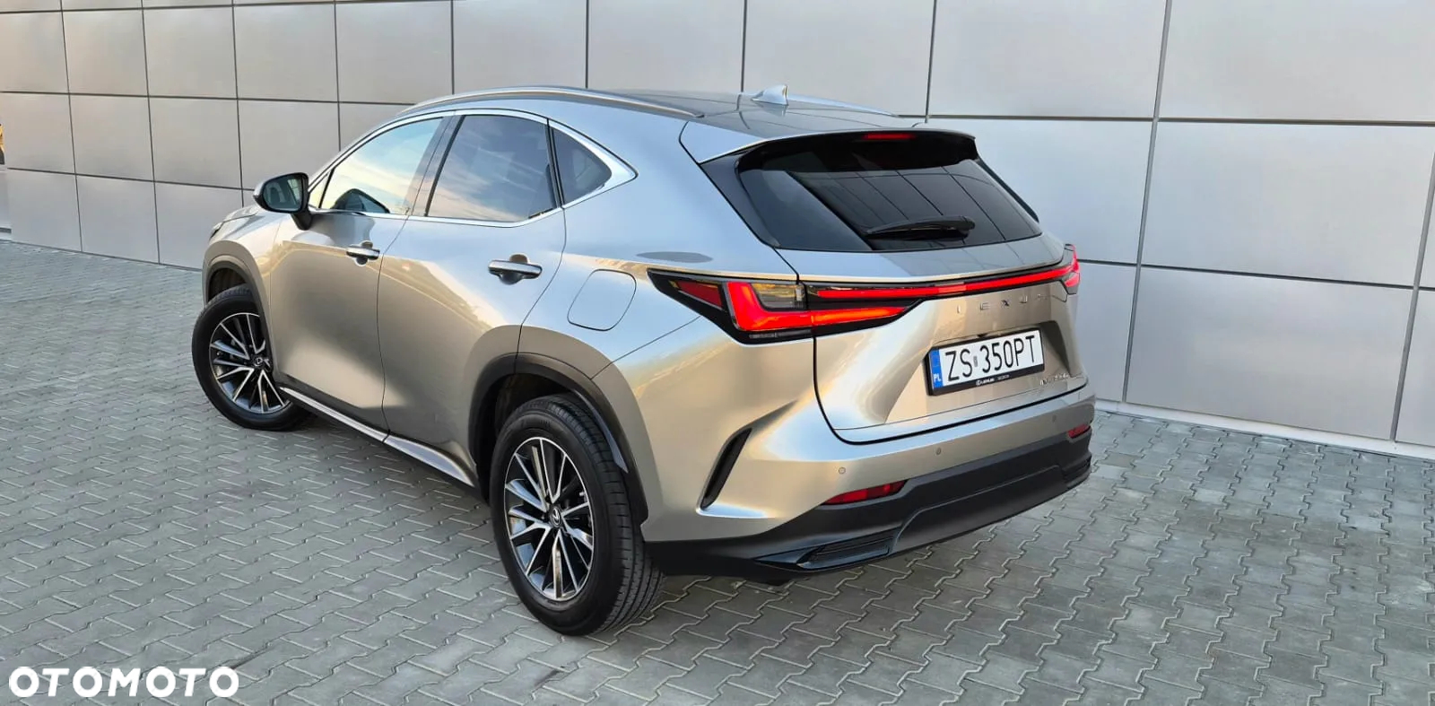 Lexus NX - 8