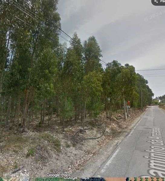 Terreno no caminho da Arrebenta - Sobreiro, Mafra - Grande imagem: 3/4
