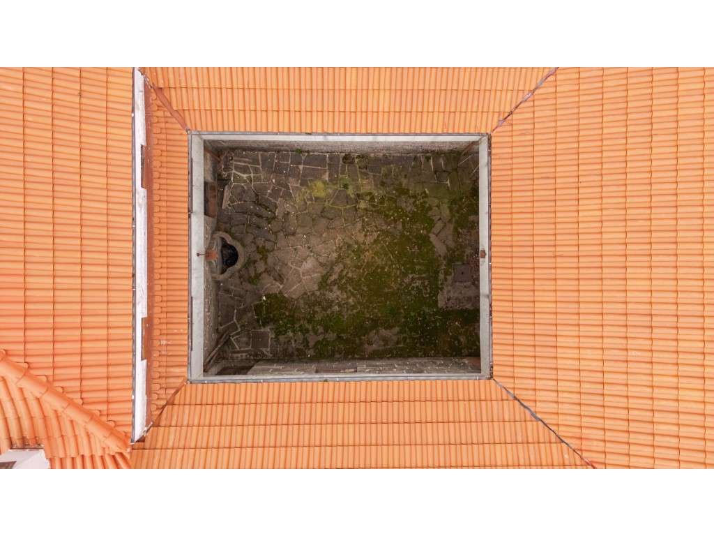 Quinta de Referência próxima da Autoestrada - Grande imagem: 3/13