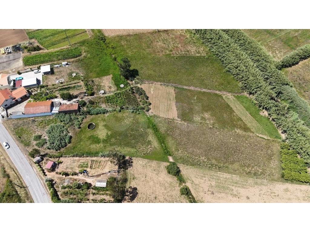 Terreno com 4.840m2, para venda, em Maceira - Grande imagem: 3/16