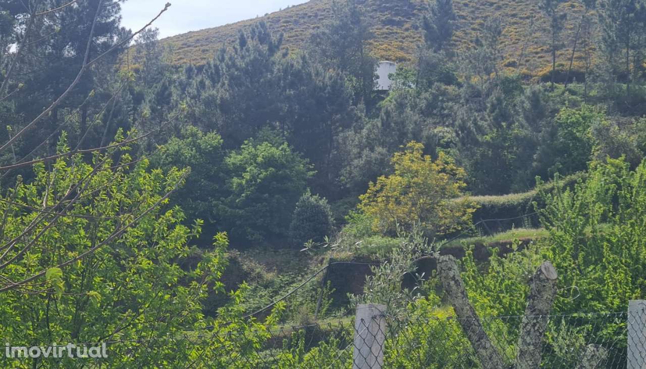 Venda Terreno, Gestaçô, Baião - Grande imagem: 3/32