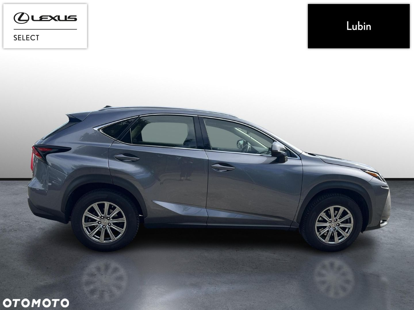 Lexus NX - 6