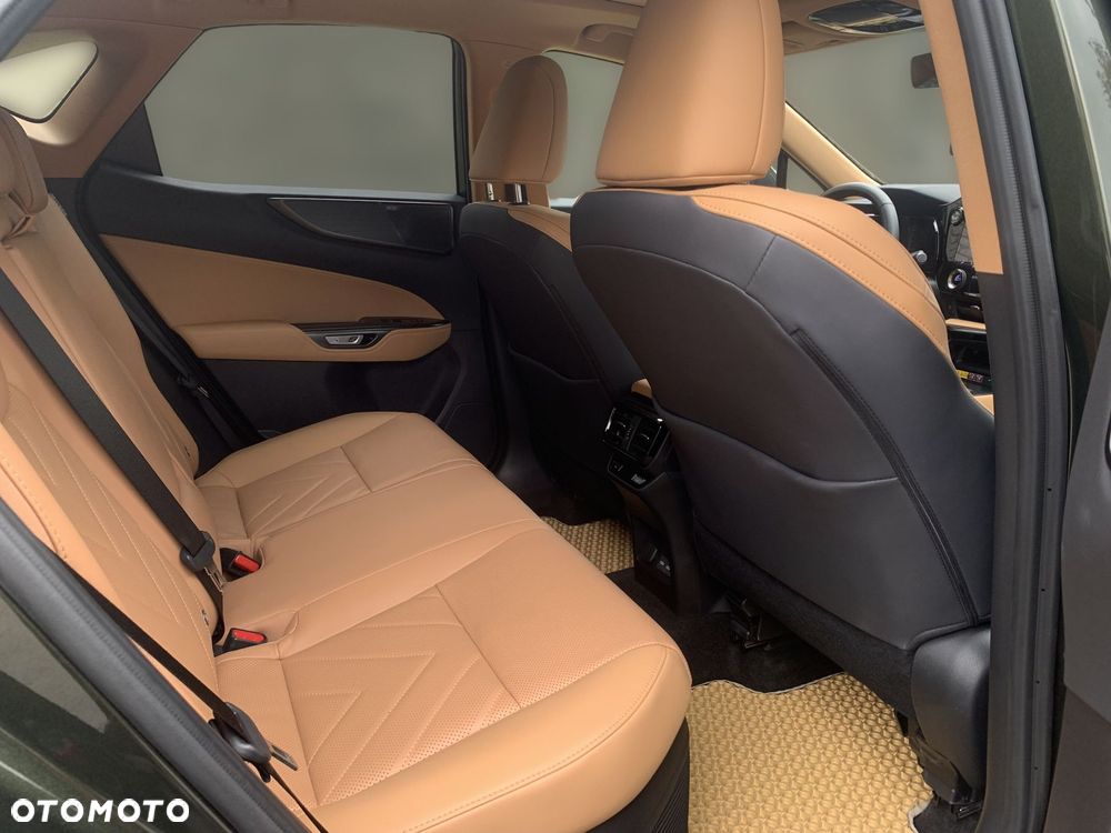 Lexus NX - 19