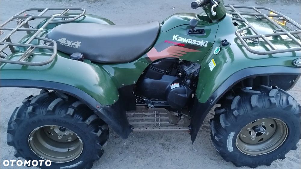 Kawasaki Brute Force - 12