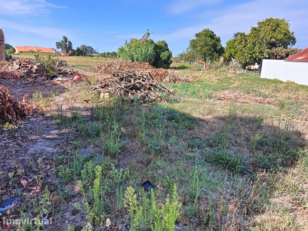 Terreno para Construção - Moradias- Eixo / Aveiro - Grande imagem: 4/15