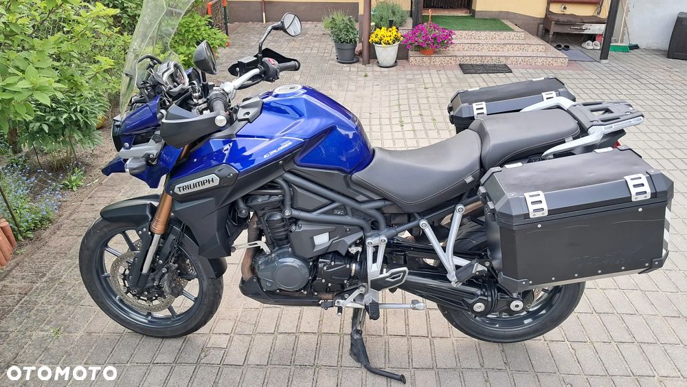 Triumph Tiger - 8