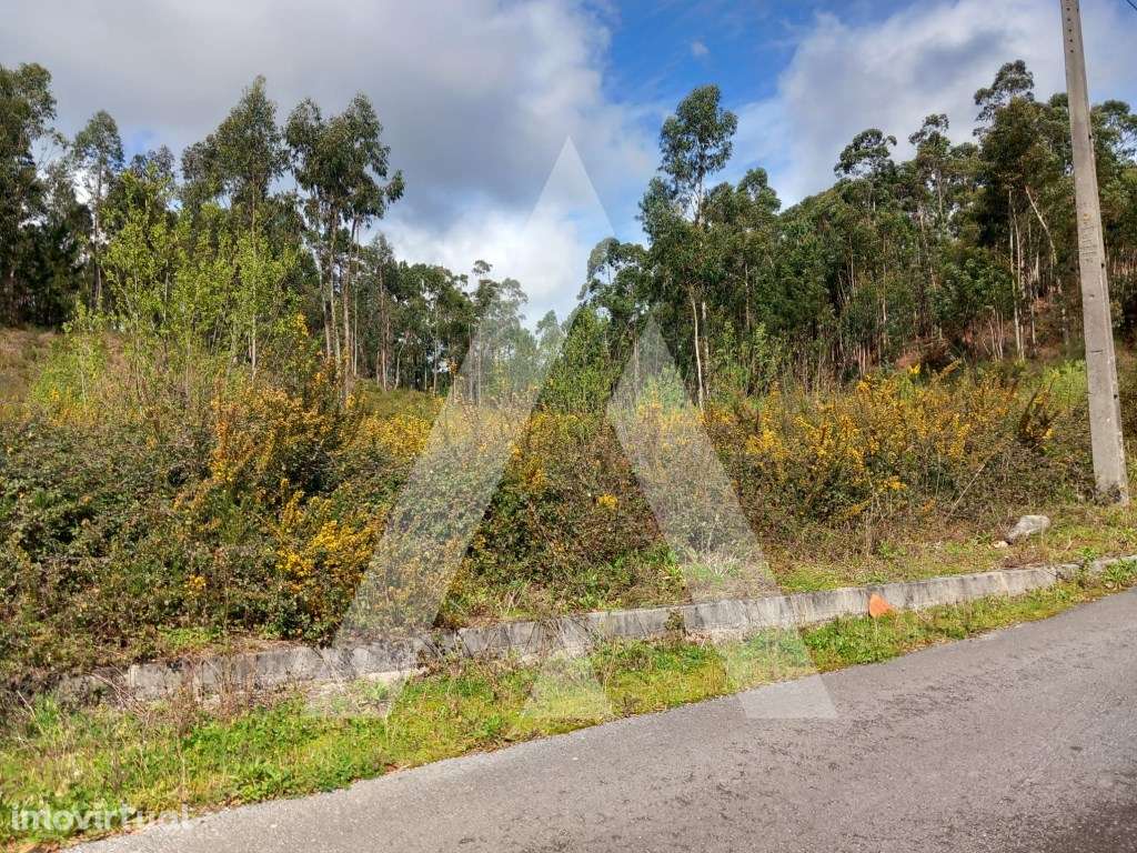 Terreno para construção em Cesar, Oliveira de Azemeis - Grande imagem: 5/13