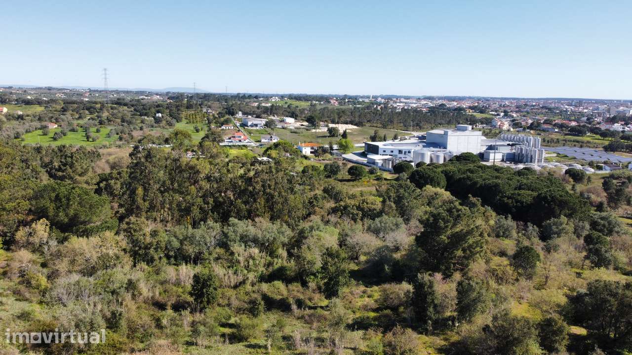 Apresento terreno agrícola, no Cartaxo com área total de 12 200 m2 - Grande imagem: 5/12