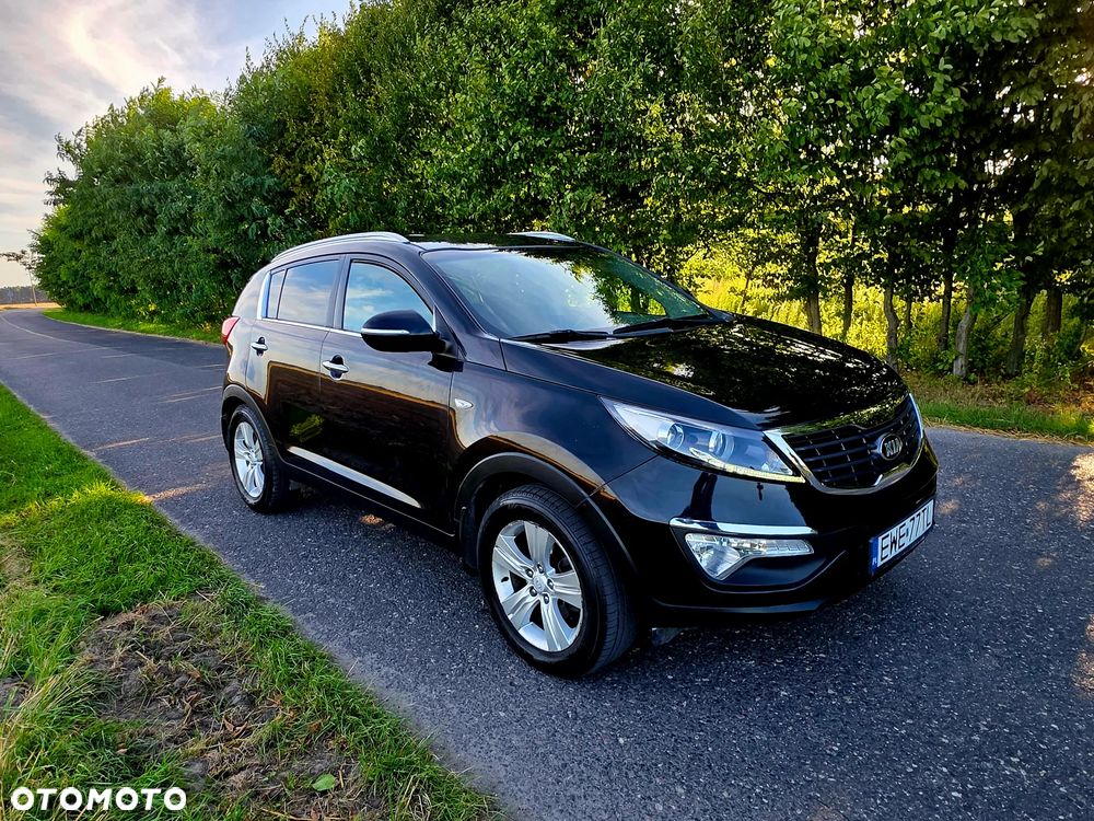 Kia Sportage - 1