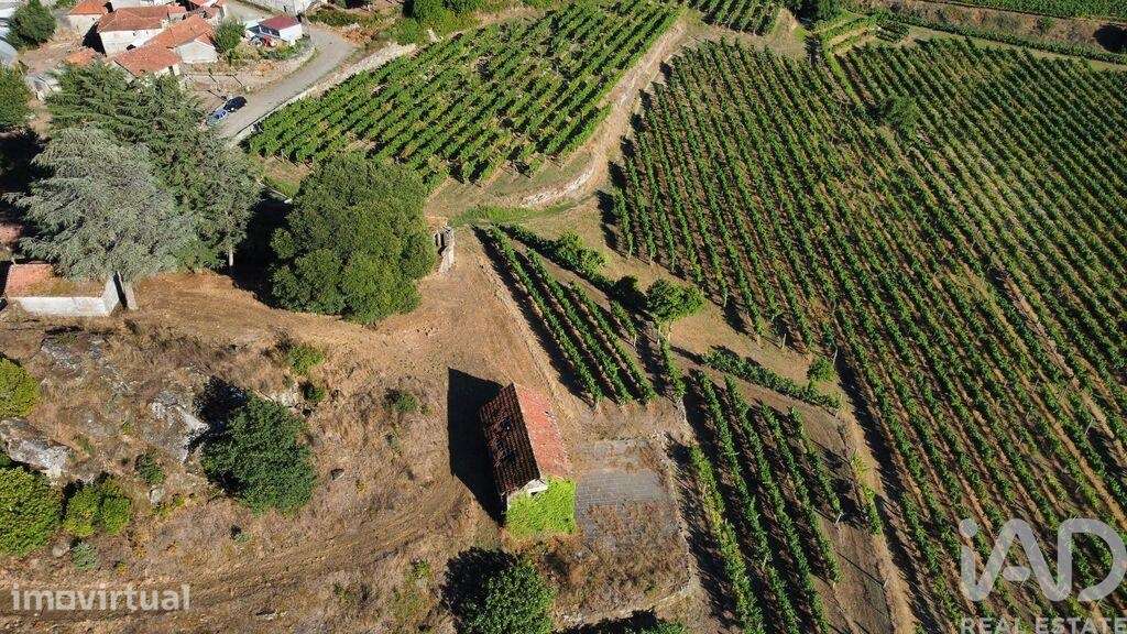 Quinta rural T2 em Figueiró de 136 m2 - Grande imagem: 3/25