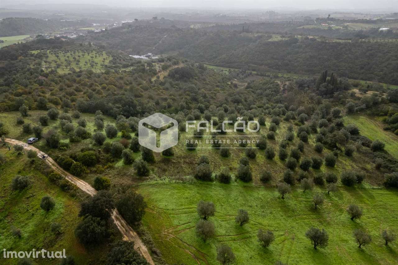 Terreno Misto T3 Venda em Pernes,Santarém - Grande imagem: 3/26