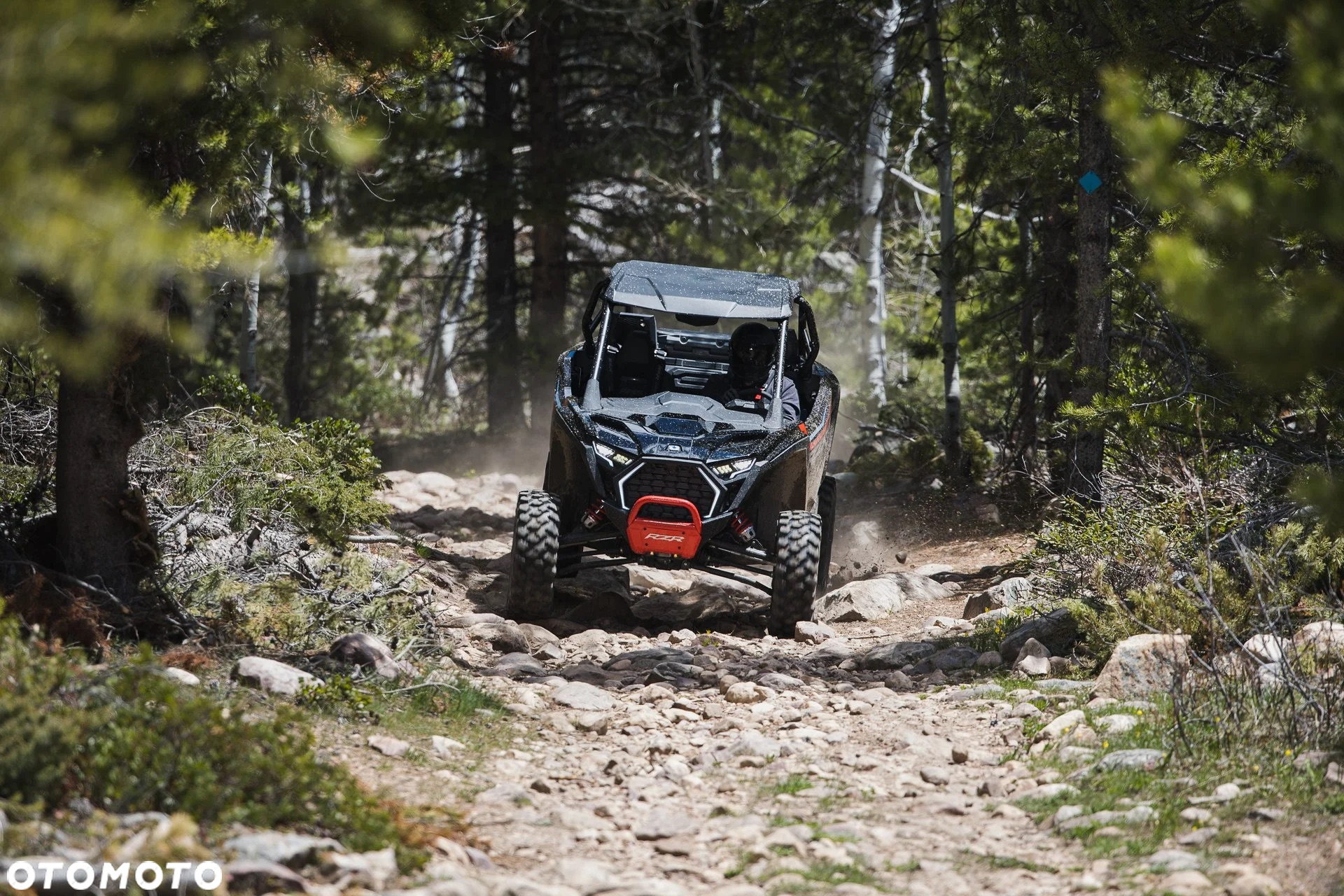 Polaris RZR - 10