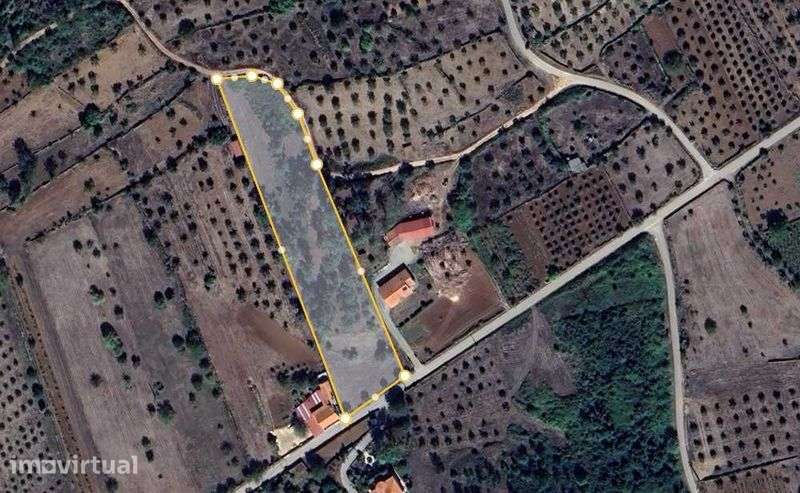 Vende-se Terreno com 6.000 m² em São Sebastião – Penela - Grande imagem: 3/4