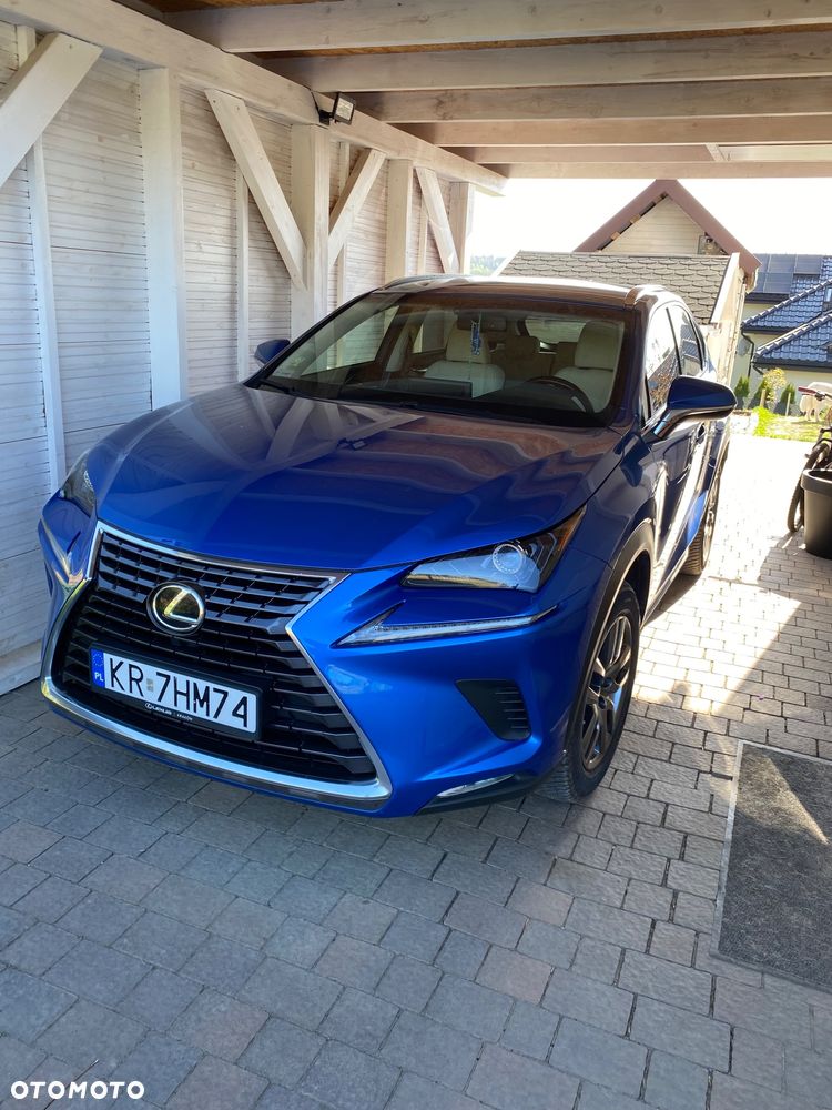 Lexus NX 300 Business Edition AWD - 1