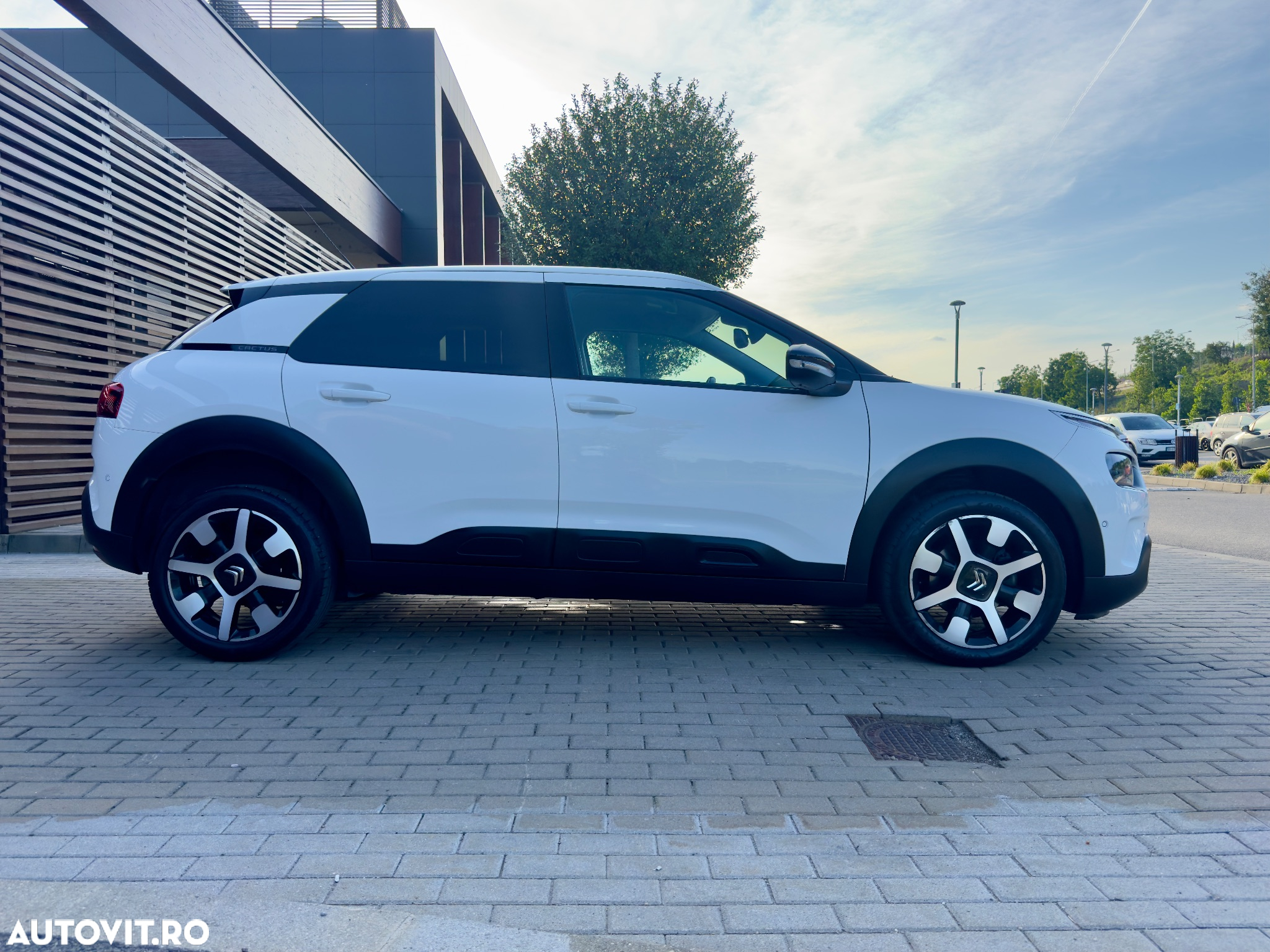 Citroën C4 Cactus BlueHDi 120 Stop&Start EAT6 Shine - 32