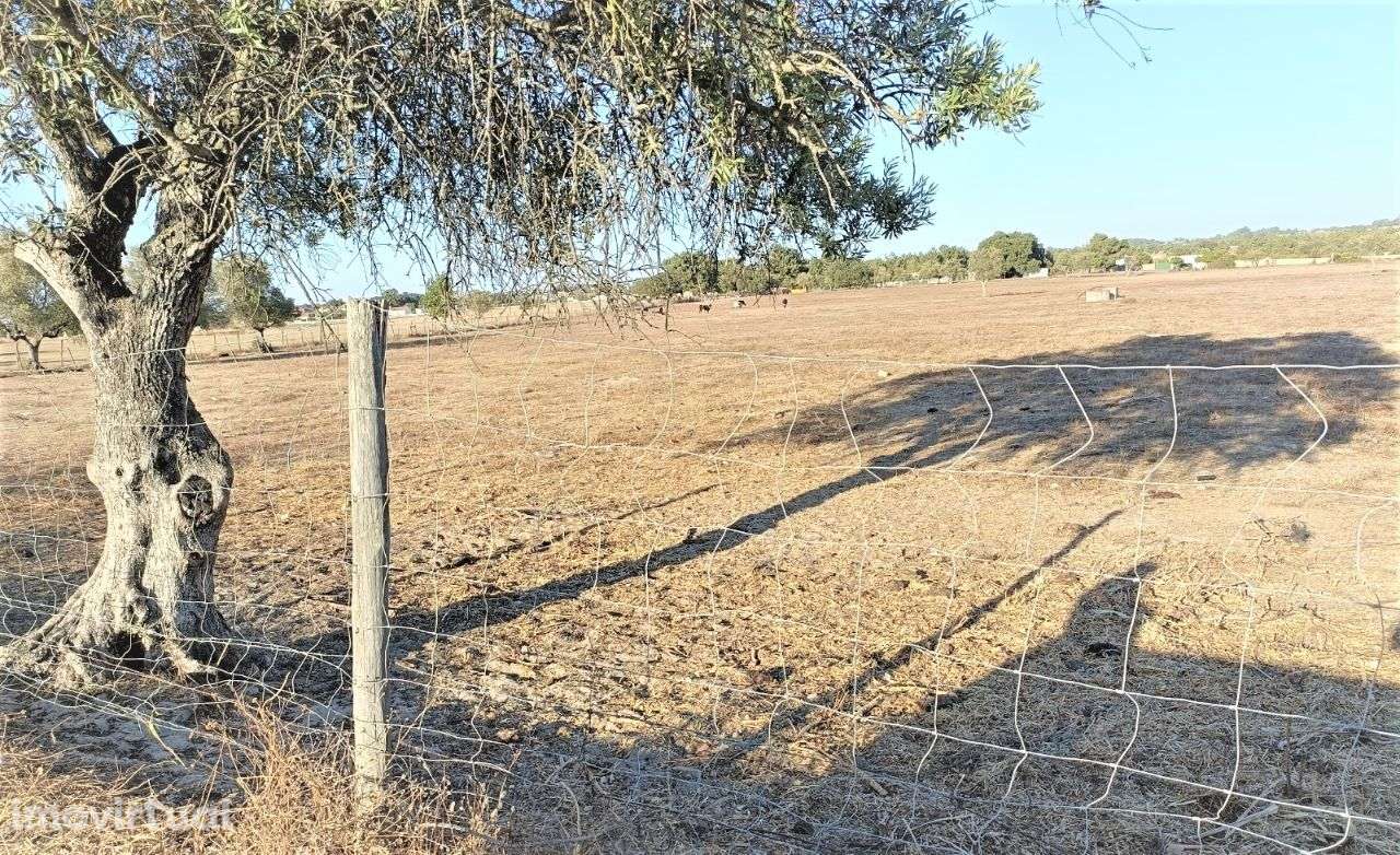 Urbanização para 19 moradias T4 – Quinta do Chora - Moita - Grande imagem: 5/18