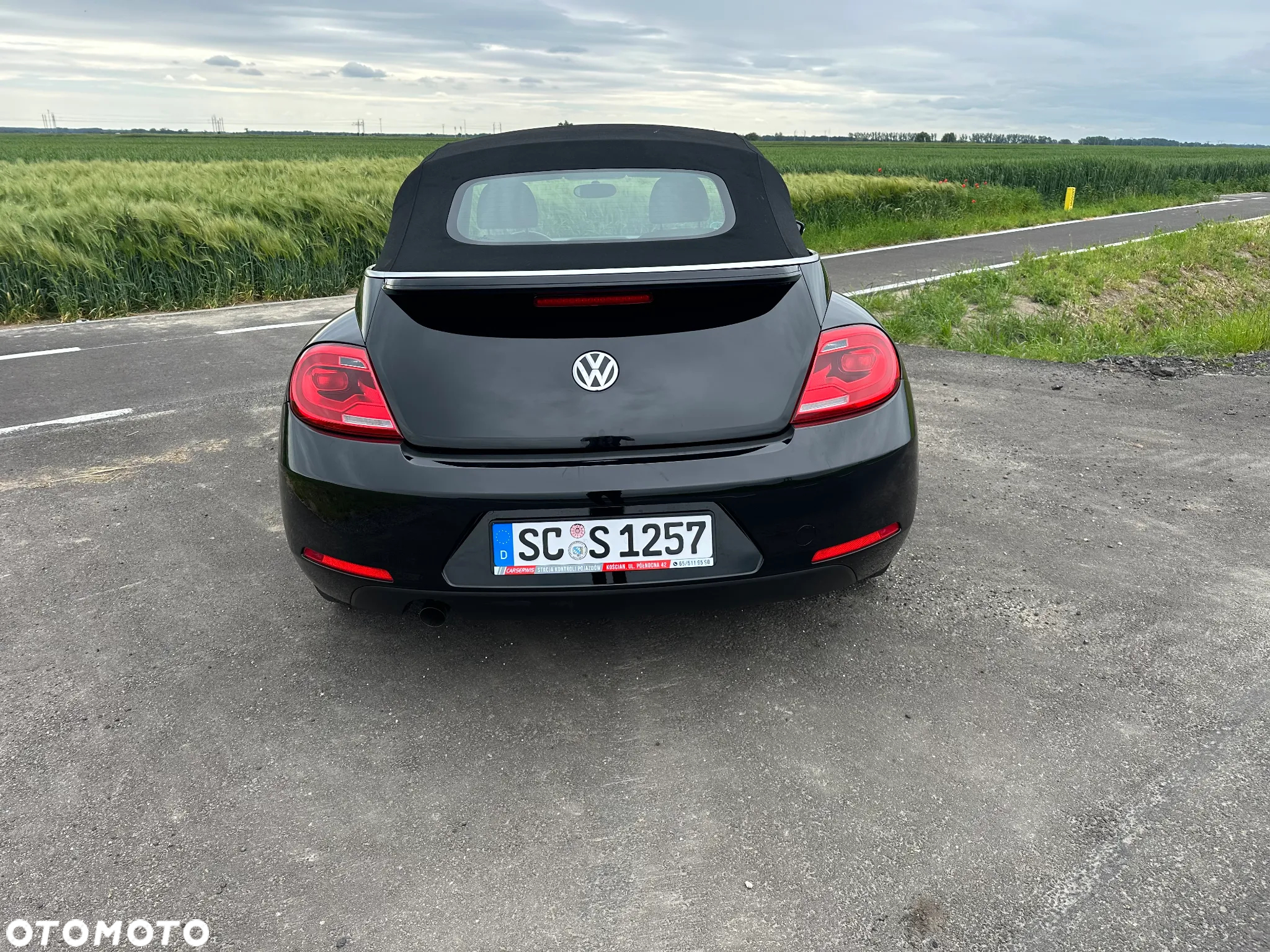 Volkswagen Beetle - 5