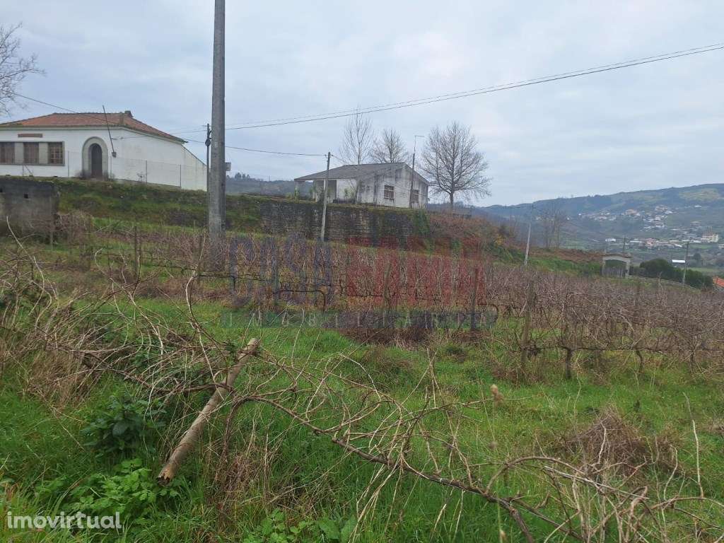 Terreno de 8000m² à Venda em Baião - Uma Oportunidade Única no Nort... - Grande imagem: 4/26