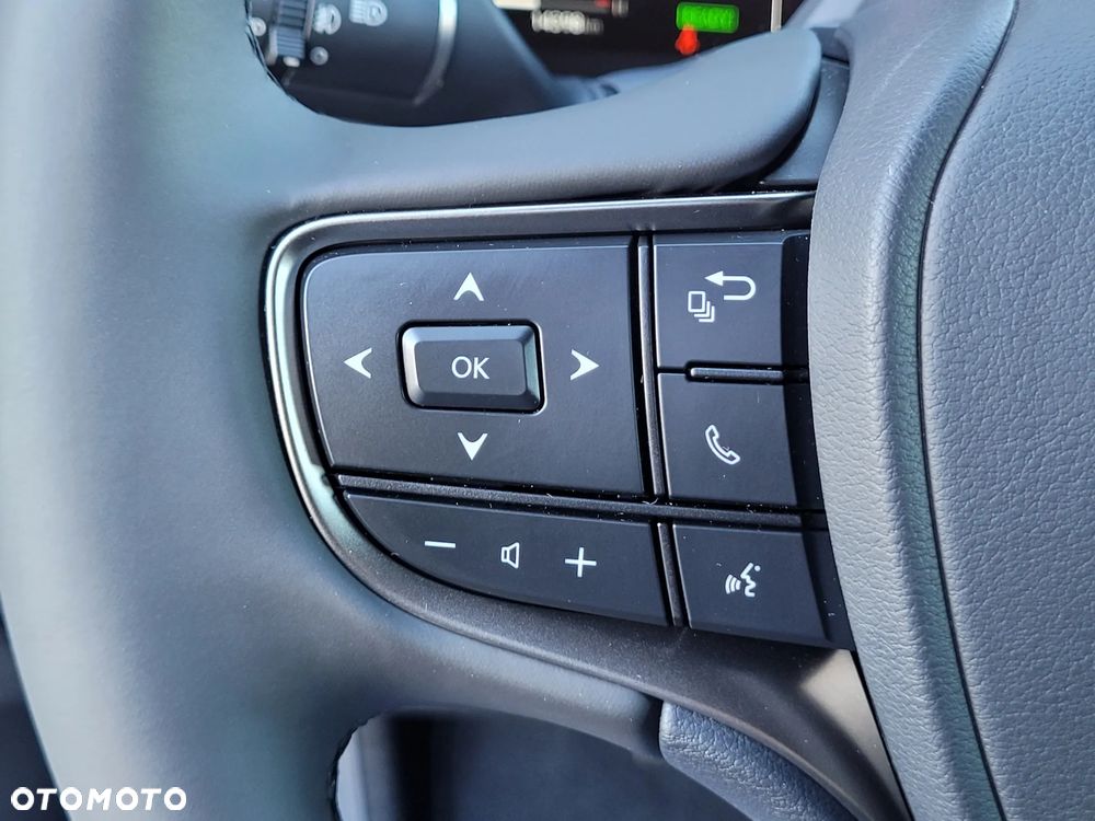 Lexus UX 300h F Sport Design - 24