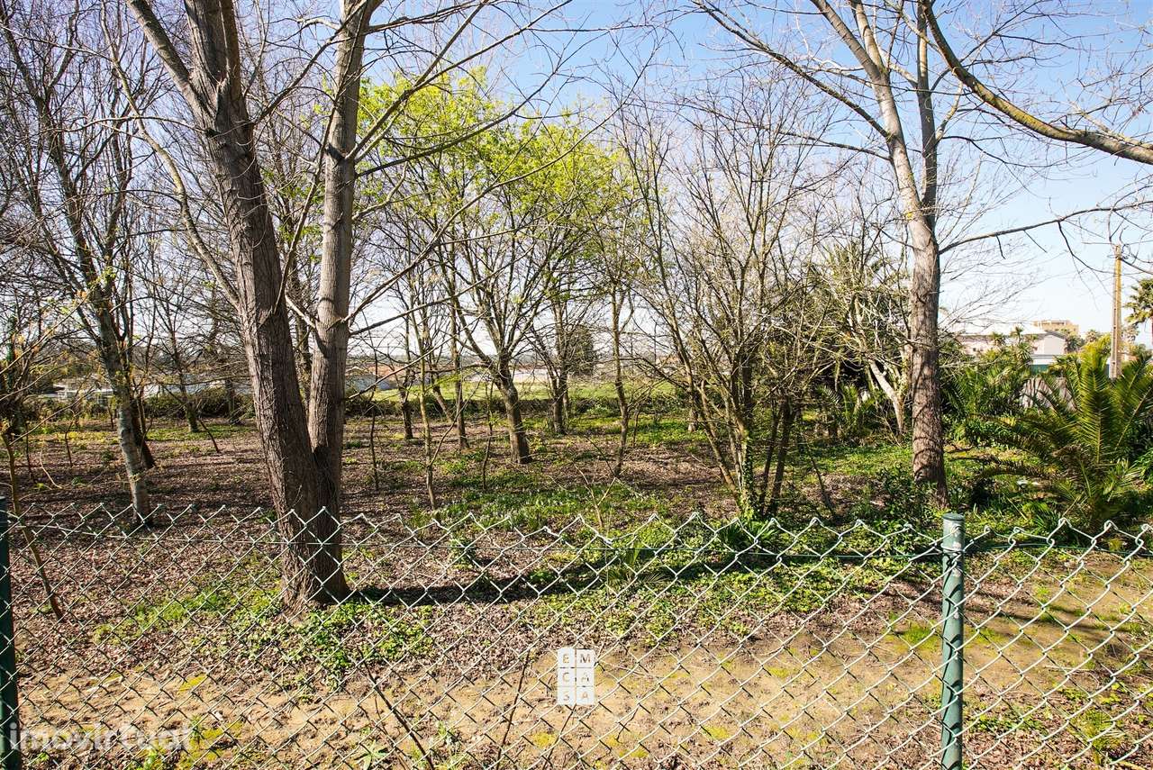 Terreno Para Construção  Venda em Esmoriz,Ovar - Grande imagem: 4/17