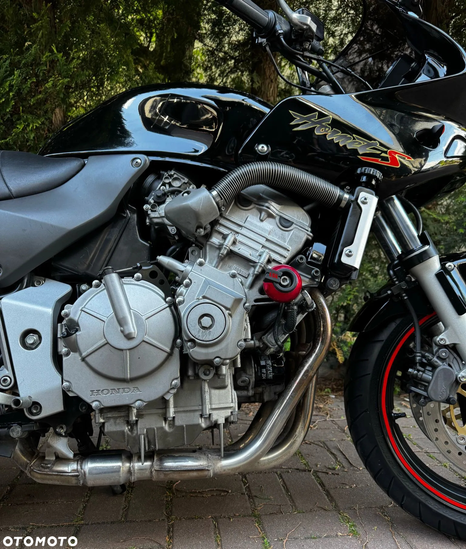 Honda Hornet - 3